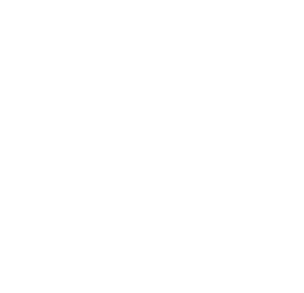 Kaligrafska radionica Dijak